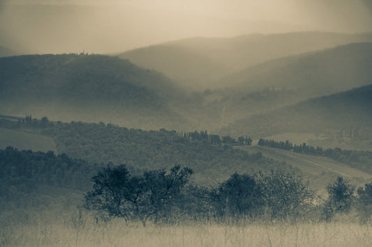 Chianti summer